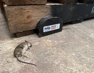 Defender Pest Control Specialists
