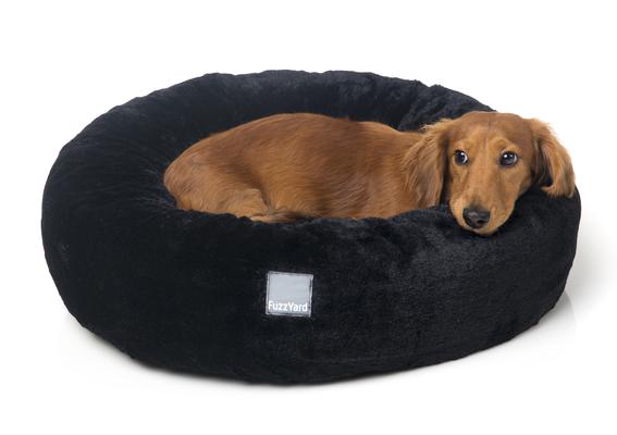 Image of Doggy & Moggie