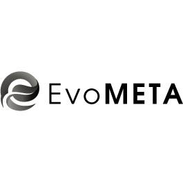 Image of EvoMETA Digital Marketing Agency