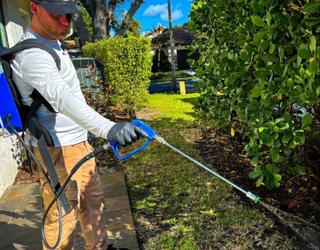 Image of Bugsy's Pest Solutions