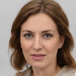 Image of The Dentist Suggest