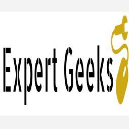 Expert Geeks