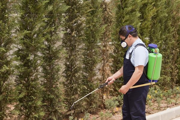 Image de Pest Control Markham Exterminator
