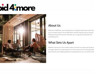 Image de Bid4more