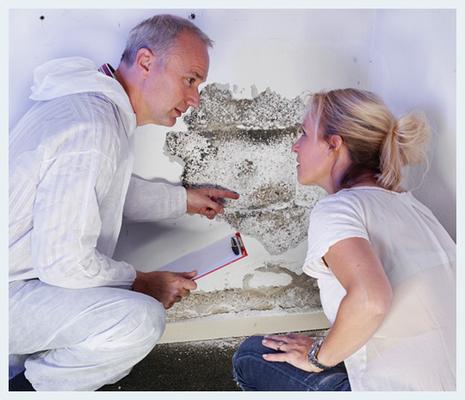Image of Rapid Building Inspections Sydney
