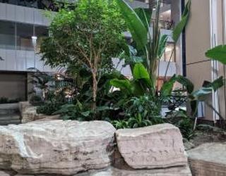 Image de Hammam Retreat & Spa