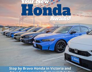 Car dealer