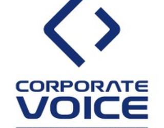Afbeelding van Corporate Voice