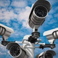 Afbeelding van Blackbyrd Security Services Pty Ltd