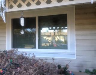 Image of Robertson Windows