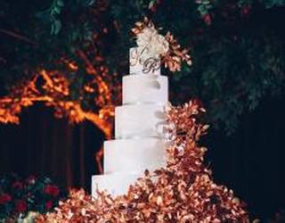 Image of DeLovely Cake Design & Academy