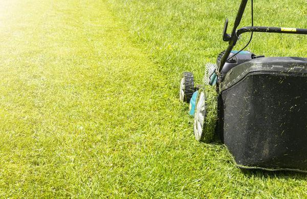 Image of Scottsdale Landscaping Co.