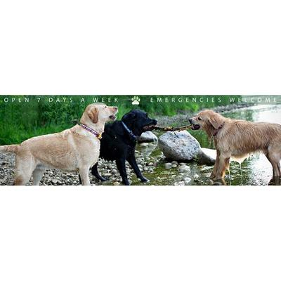 Image de Gateway Pet Hospital