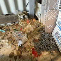 Image of Burkeys Pest Control Townsville & Surrounds