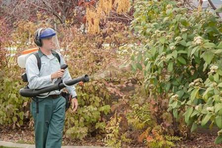 Image of Edge Pest Control and Mosquito Services