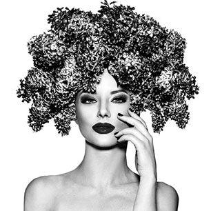 Image of Penelope & The Beauty Bar