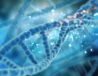 Image of Paragon Genomics