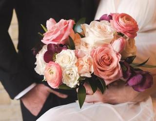 Image of Mandi Rae Photography