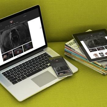 Image of EvoMETA Digital Marketing Agency
