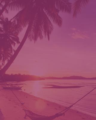 Image of Sunbar