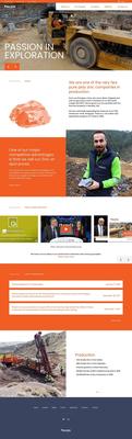Mining Website Design