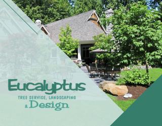 Image of Eucalyptus Tree Service Landscaping & Design