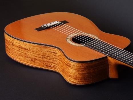 Image of Trevor Gore Guitars