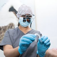 Image of Tooth Sparkler