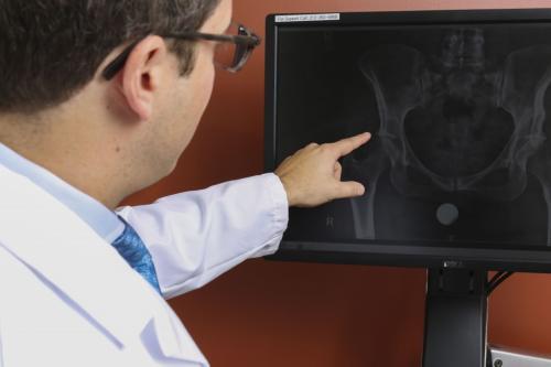 Image of Dr. Jonathan M. Vigdorchik, MD