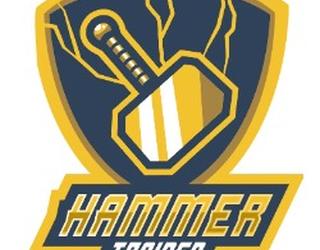 Image of Hammer Sports and Performance