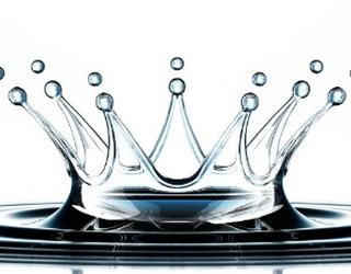Image of Rainking Purification Systems