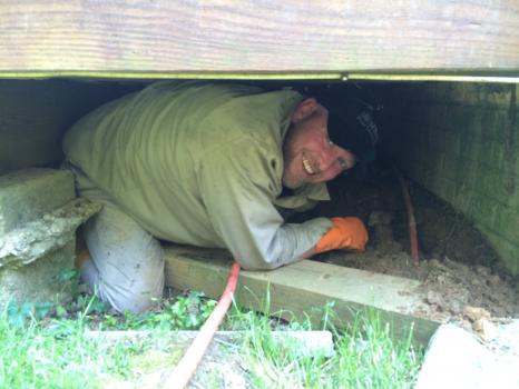 Image of Senate Termite & Pest Control