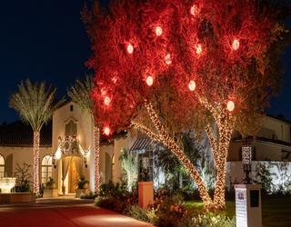 Image of Brite Nites | Holiday & Outdoor Lighting
