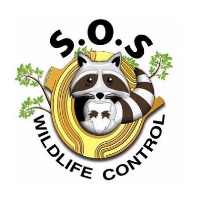 Image de SOS Wildlife Control Incorporated