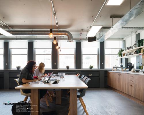 Image of Seedhub Media