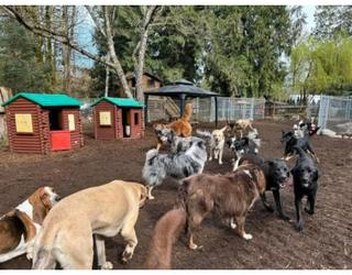 Image of Silverdale Obedience Unleashed