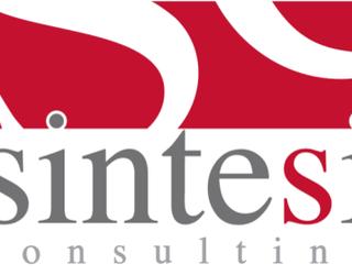 Immagine Sintesi Consulting Sas