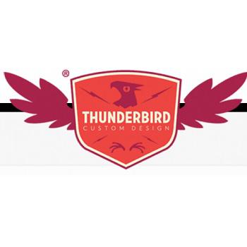 Image of Thunderbird Custom Design