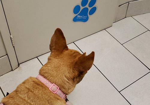 Image of Bridle Trail Veterinary Clinic