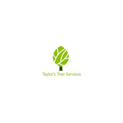 Image of Taylor Tree Service Ltd