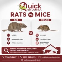 Quick Pest Control photo