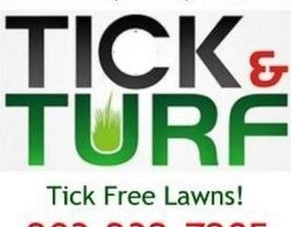 Image of Tick & Turf