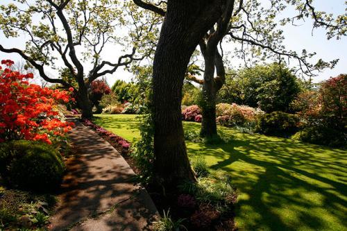 Image of George Self Lawn Service LLC