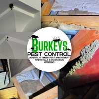 Image of Burkeys Pest Control Townsville & Surrounds