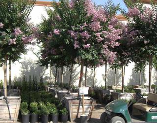 Image of Garden View Nursery