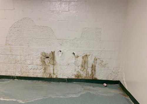 Image of Guaranteed Property and Mold Inspection