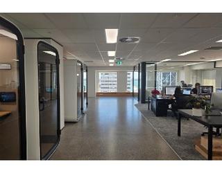 Image of NZ Digital. Web Design & Digital Marketing Auckland