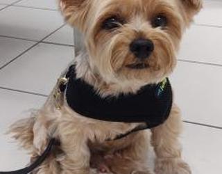 Image de Bayview Mall Veterinary Clinic
