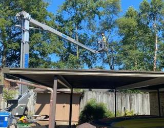 Image of Stump Eater Tree Service