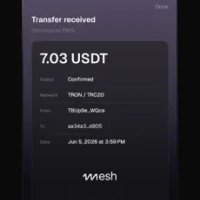 Mesh Wallet photo
